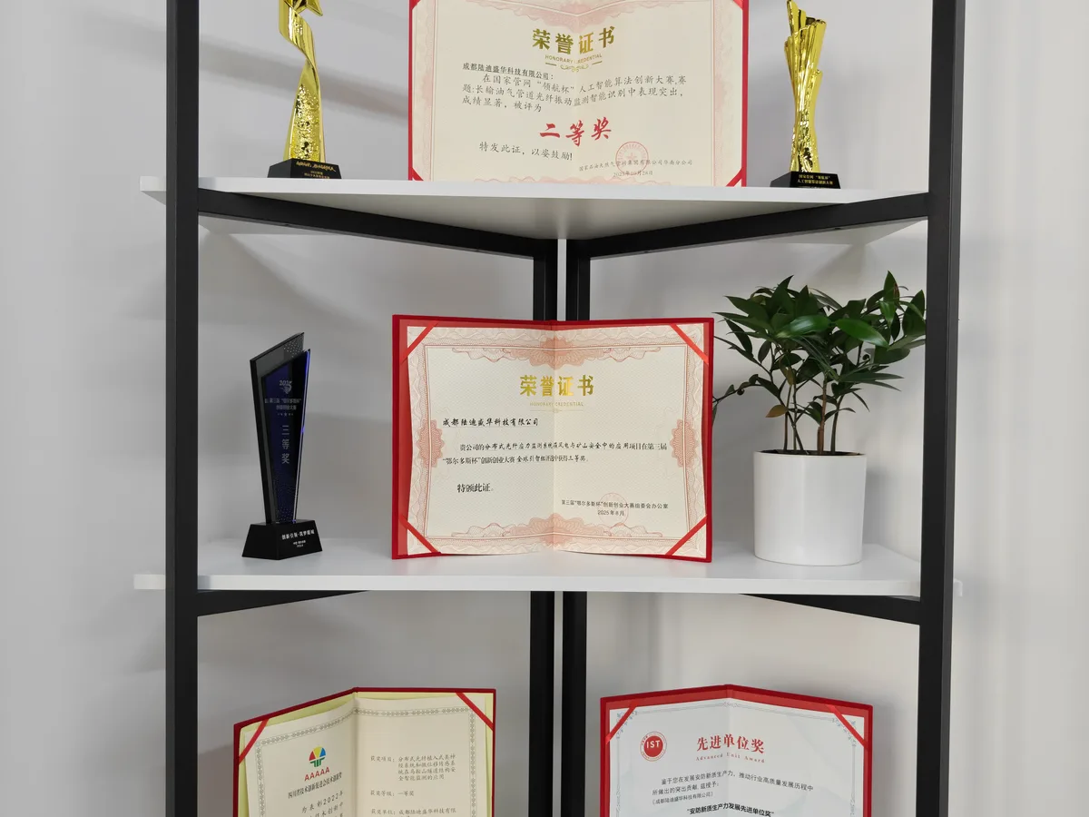 陆迪盛华荣誉证书与奖杯展示架